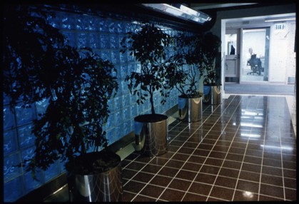 biophilic makeover